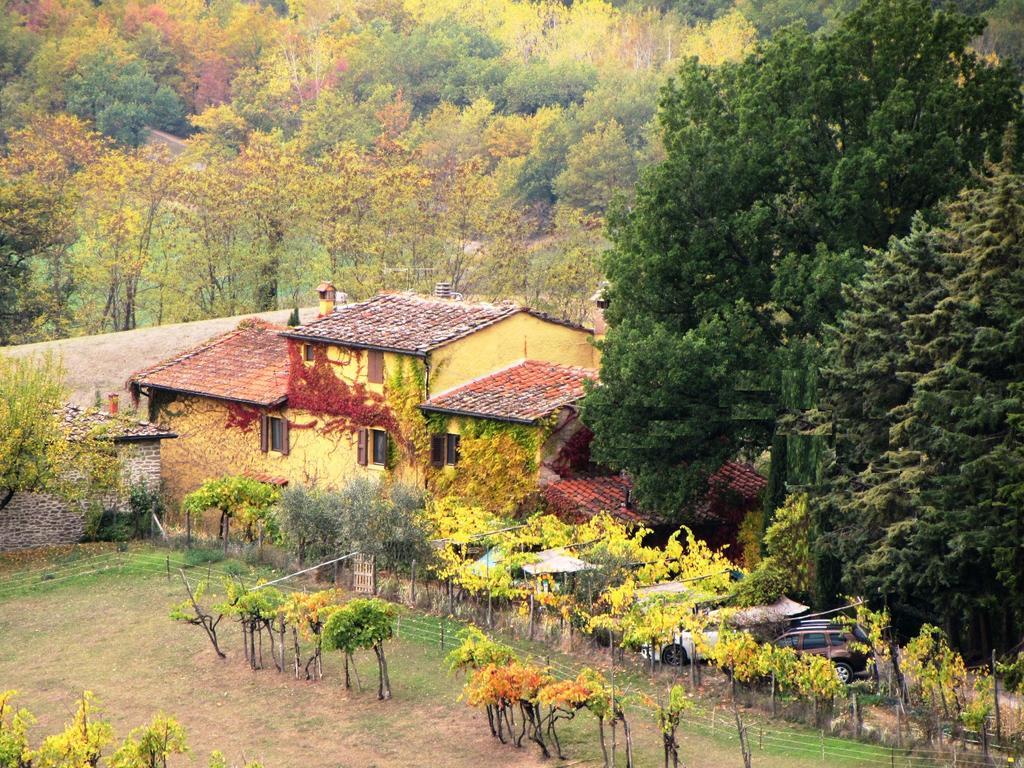 B&B Le Due Volpi Vicchio Exterior photo